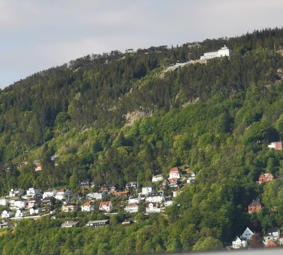Spacious And Beautiful Apartment In Bergen With Free Parking Exterior foto
